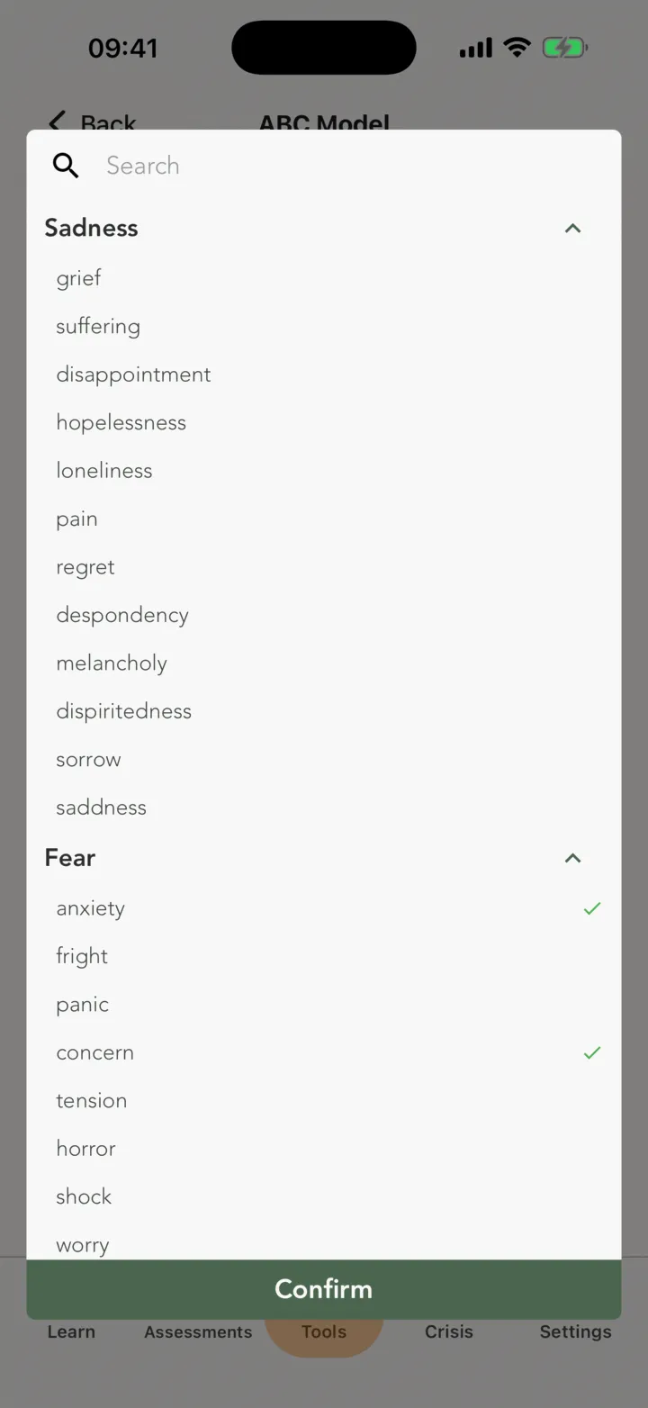 The emotion picker with the list of emotions and the Confirm button
