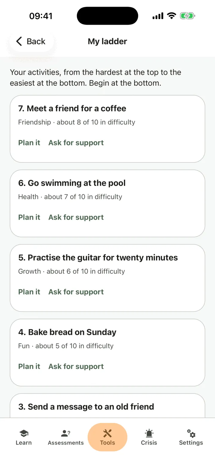 My ladder: the activities from the hardest at the top to the easiest, each with Plan it and Ask for support